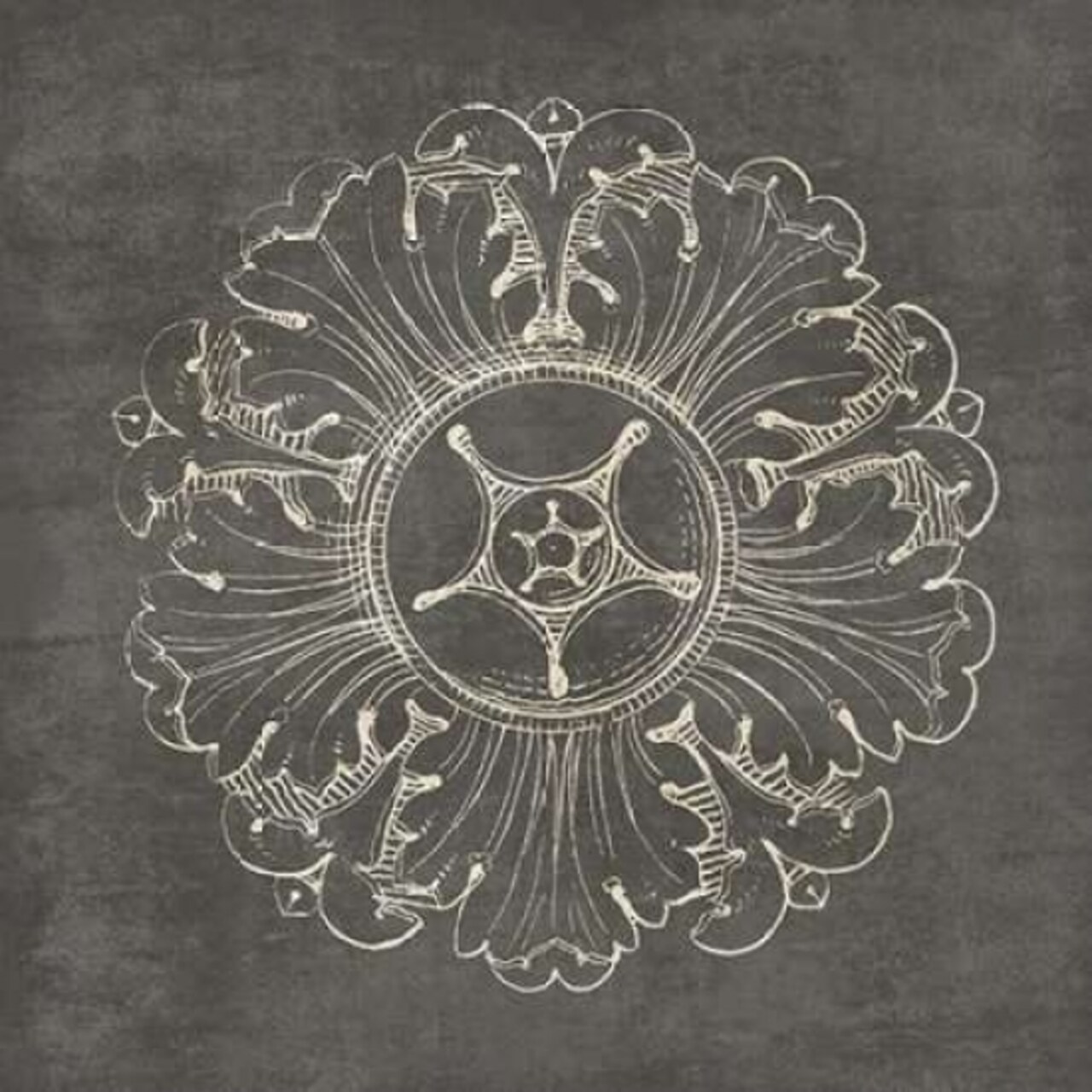 Rosette VI Gray Poster Print by Wild Apple Portfolio - Item # VARPDX21578